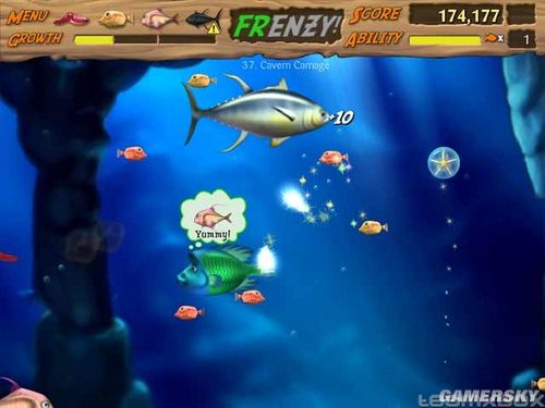 吞食鱼2海难大决战_吞食鱼下载_feeding frenzy 2 shipwreck showdown游戏下载