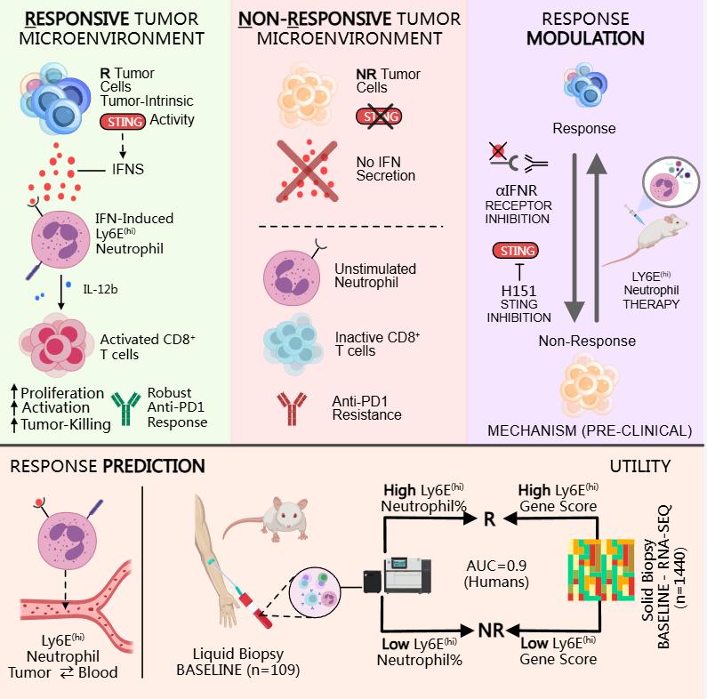 医学图书pdf下载_MedPeer科技文献库_医学文献检索网站